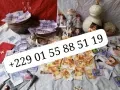La multiplication d'argent rapide +229 01 55 88 51 19 es cela est il reel ?