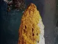 Vrai marabout sérieux du Bénin :+229 01 46 94 65 21 le plus puissant maître marabout du monde et de l’Afrique-Marabout puissant pour un retour affectif-Marabout pour faire revenir un ex avec photo