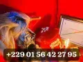 MULTIPLICATION d’argent +229 01 56 42 27 95