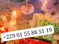 Quelles sont les conditions pour avoir le portefeuille magique ? +229 01 55 88 51 19