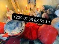 EST IL POSSIBLE DE FAIRE LA MULTIPLICATION D'ARGENT ? COMMENT SE MANIFESTE CETTE MULTIPLICATION D'ARGENT RAPIDE EN DOLLARS EN EUROS EN FCFA +229 01 55 88 51 19