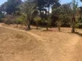 Terrain 2910m2 à vendre - Ivato Ankadindravola