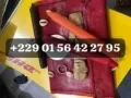 Multiplication d'argent +229 01 56 42 27 95
