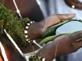 Comment Faire Revenir Son Ex Naturellement (Méthode efficace et respectueuse Puissante en 3 Jours)