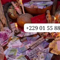 La multiplication d'argent rapide en euro en dollars +229 01 55 88 51 19