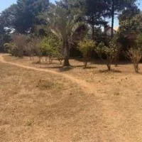 Terrain 2910m2 à vendre - Ivato Ankadindravola