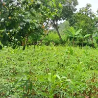 Opportunité d'Affaire à saisir à Ampefy